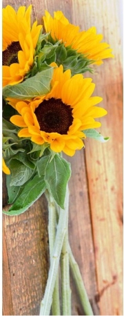 Grusskarte Sonnenblume